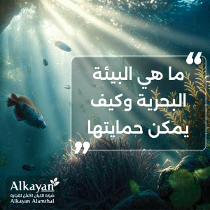 البيئة البحرية