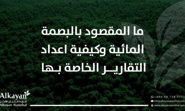 البصمة المائية