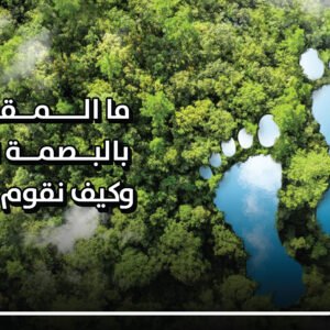 البصمة الكربونية