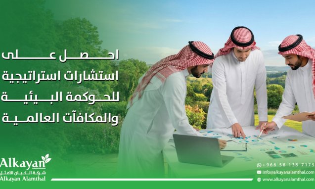 استشارات استراتيجية للحكومة البيئية