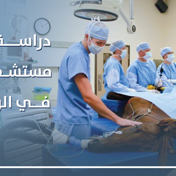 دراسة جدوى مستشفى خيول في الرياض