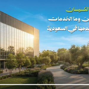 شركة الكيان