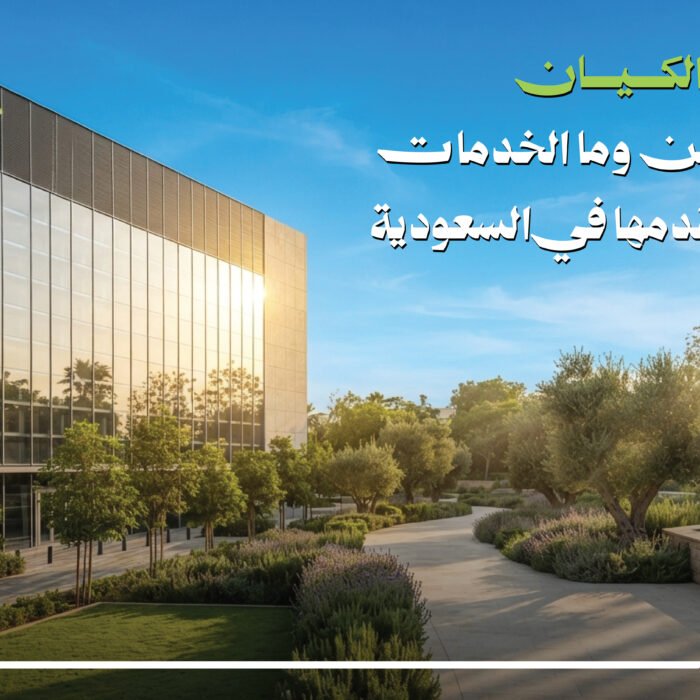شركة الكيان